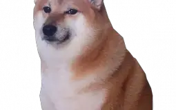 why are you here go away 3